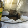 Foundation Leak