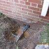 Same Foundation Leak