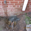 More Hydraulice Cement
